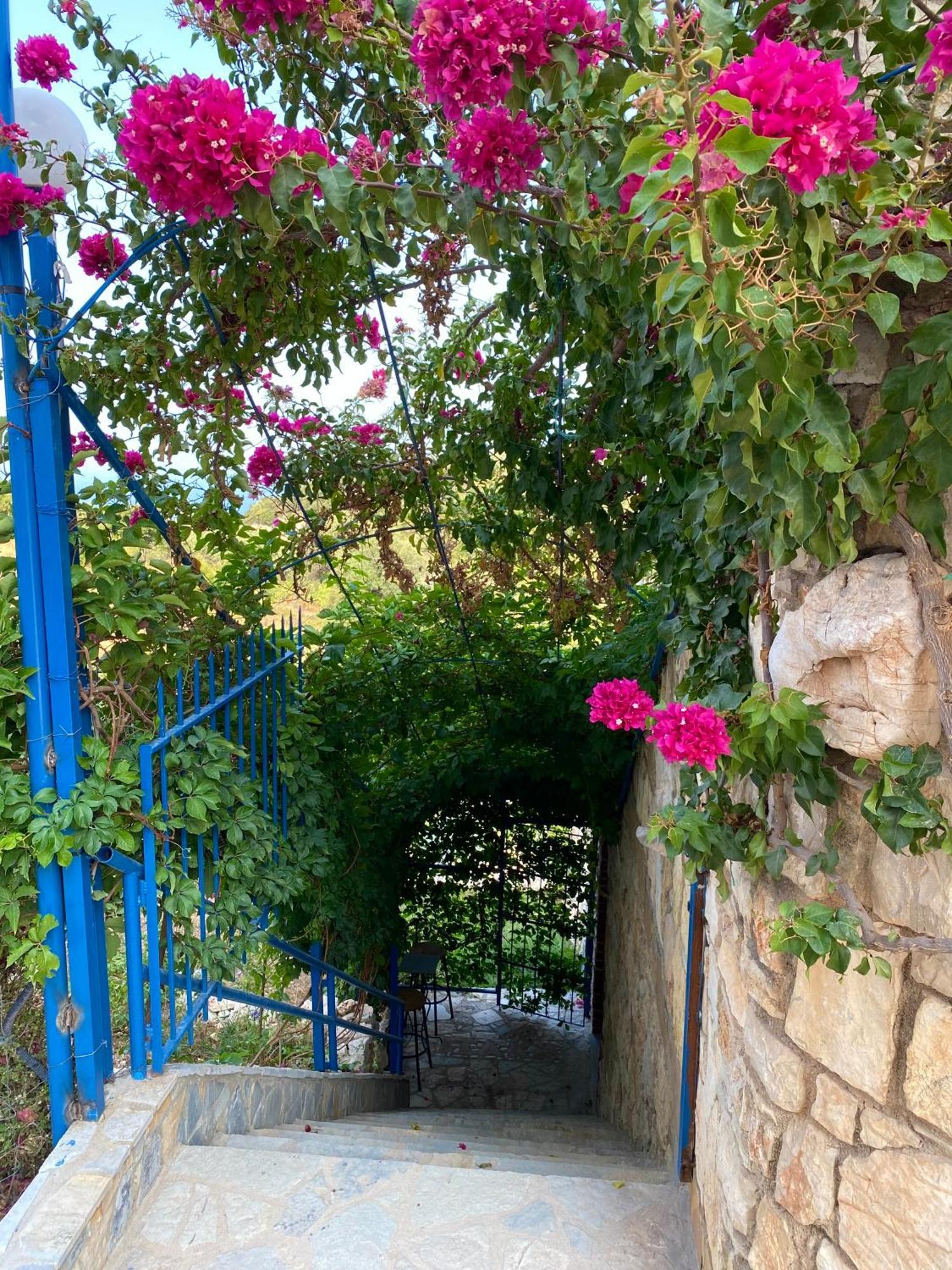 Itaka Summer Rooms Lukova Dış mekan fotoğraf