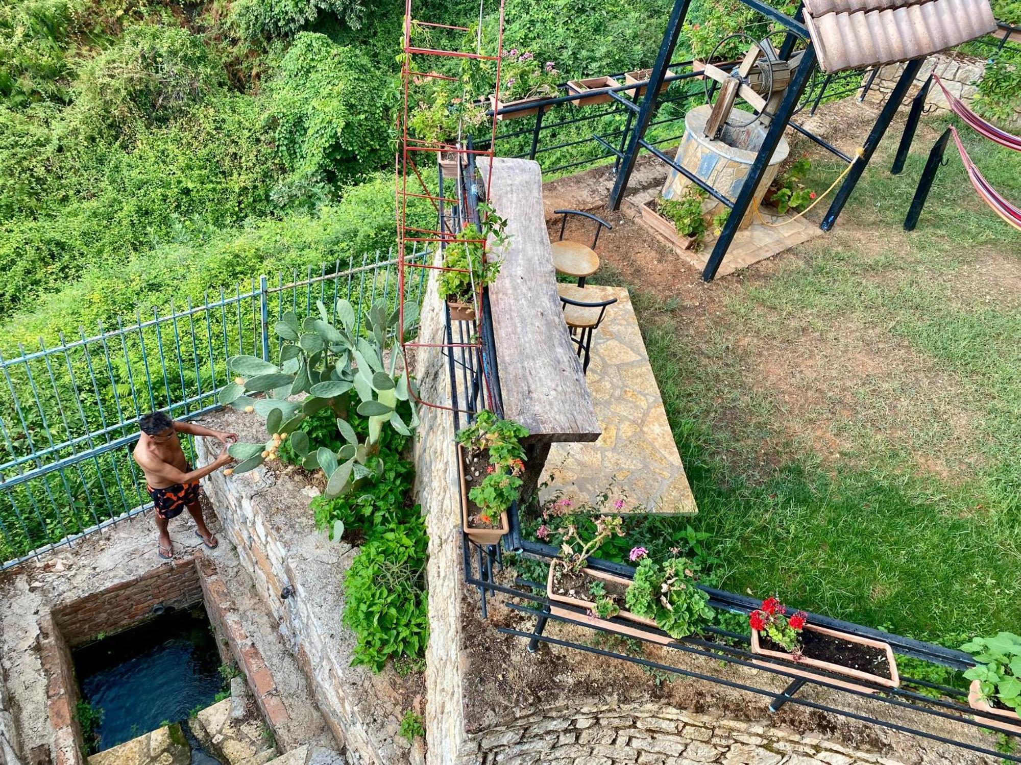 Itaka Summer Rooms Lukova Dış mekan fotoğraf